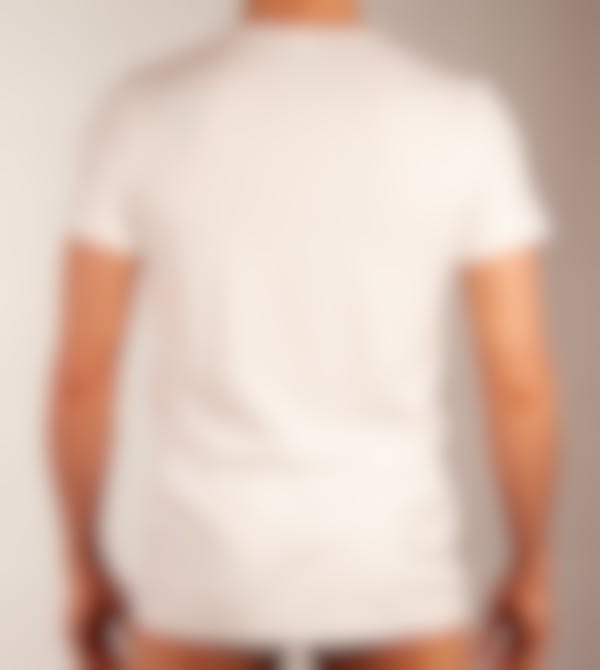 Hanro T-shirt Cotton Superior V-Neck Shirt H
