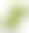 De Witte Lietaer washandje Contessa lime green 16 x 21 cm set van 12